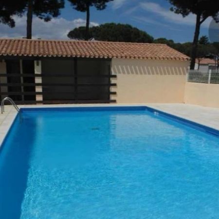 Apt T2/4 Pers/ Rez De Jardin\Pinede\Piscine Agde Buitenkant foto